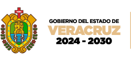 Gobierno del estado de Veracruz COLOR