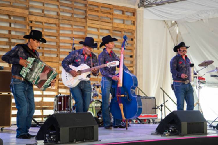 COMEDIA, CORRIDOS Y VIDEOARTE DIVERSIFICAN LA OFERTA ARTÍSTICA DEL FIC 49