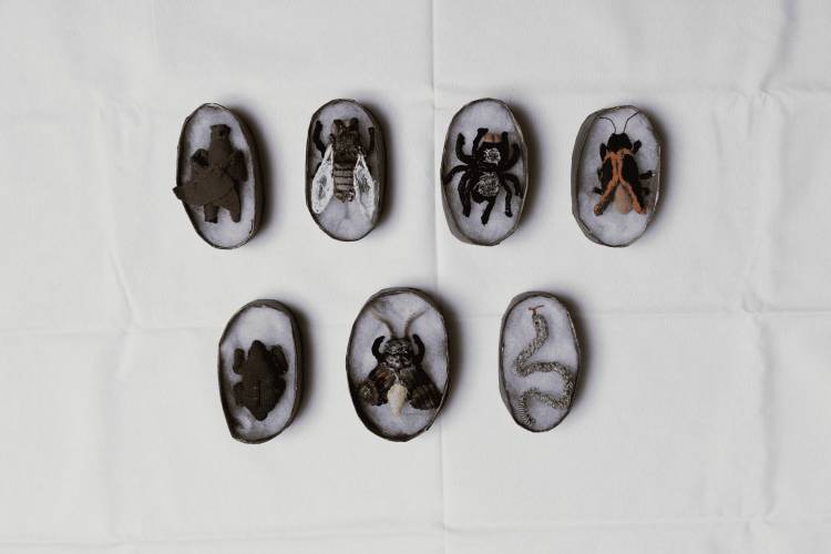 Las artes visuales toman los muros de Guanajuato en el 53 FIC